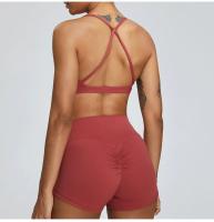 Shorts de Yoga de Cintura Alta para Mujer Control de Barriga, Elevación de Glúteos, Ropa Deportiva de Nylon para Primavera/Verano - details 9