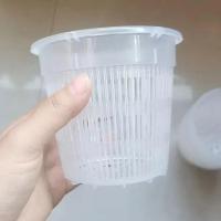 Macetas de orquídeas de plástico transparente para flores, lavabo transpirable, macetas de orquídeas, Control de raíces, maceta de escritorio transparente - details 11