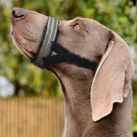 Bozales ajustables para perros, transpirables, previenen mordeduras y ladridos, cubierta bucal antiladridos, protector bucal suave y duradero para perros - details 10