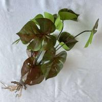 Boda falsa glicina plantas simuladas impresas en 3D, espalda de tortuga de plástico, hojas de manzana verde de bambú, decoración del hogar - details 29