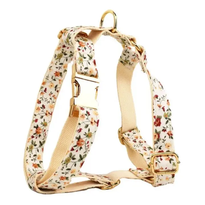 Conjunto Correa Perro, Collar con nombre personalizado Perros Pequeños y medianos, Placa Identificación personalizada, arnés - 1