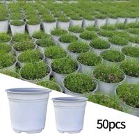 Semillas de plantación de plástico, cultivo de plantas pequeñas y jugosas, ETA gruesa para viveros, accesorios de jardín - details 3