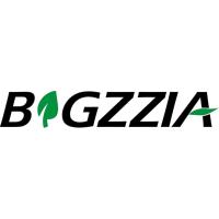 bigzzia gaming chair