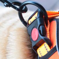 Collar de perro reflectante transpirable de seguridad nocturna, diseño antiestrangulamiento de nailon, Collar para mascota, cómoda y suave cuerda de tracción para viaje - details 9
