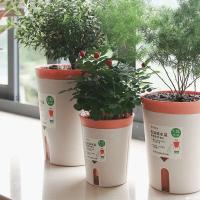 ETA de plástico hidropónico de riego de doble capa, ETA de absorción automática de agua para plantas - details 2