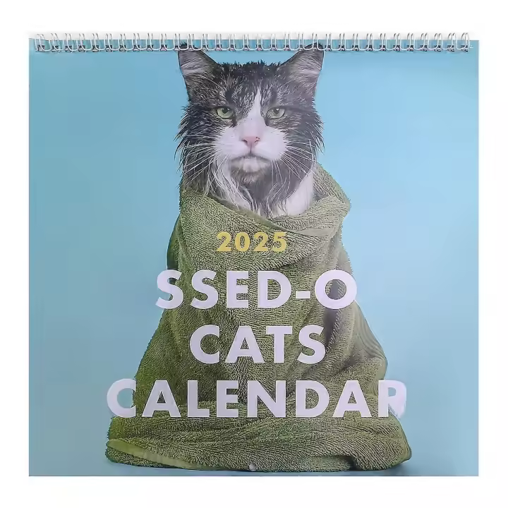 Calendario de Pared de Gatos Enfuriados 2025 Calendario de Pared Divertido para Gatos - 1