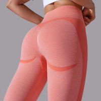 Pantalones Deportivos Sin Costuras para Mujeres Cintura Alta Yoga, Levantamiento de Glúteos, Carreras Ropa de Gimnasio - details 26
