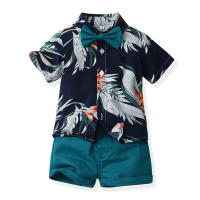 Mangas cortas de verano, camisas de flores, pantalones cortos para niños, conjunto casual de dos piezas, ropa de playa multicolor para bebés y niños - details 18