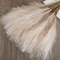 Vidor Pampas Bohemio Plantas Florales Artificiales para Decoración de Boda, Fiesta, Hogar - details 10