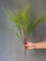 1 unidad, planta de helecho, verde, vid de plástico, hiedra falsa para decoración del hogar, sala de estar, vegetación artificial - details 0