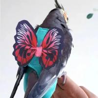 Traje de Vuelo para Pájaros con Forro Impermeable Prenda de Pañales para Pájaros Exóticos con Cuerda de Vuelo - details 6