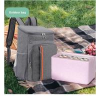 Mochila térmica impermeable, bolsa térmica gruesa de 20L, grande, aislada, de grado alimenticio, PEVA, escuela familiar, Picnic, refrigerador, bolsa de almuerzo - details 8