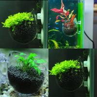 Suministros acuáticos para mascotas, taza de cultivo, maceta para plantas acuáticas con ventosas para acuario, decoración del hogar - details 8