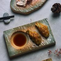 Cuchara de Cerámica de Alto Valor Cuchara de Sopa para Comer y Beber Vajilla Retro para Cocina Japonesa - details 17
