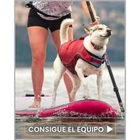 Consigue el equipo de Kurgo para poder hacer cualquier actividad con tu mascota
