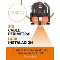 Vision