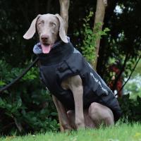 Chaqueta De Invierno Para Perros Con Arnes Impermeable Ropa Grande Para Perros Chihuahua Bulldog Francés Adecuada Para Animales De Tamaño Grande 6XL - details 15