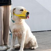 Pet Accessories Adjustable Anti Barking Dog Muzzle Breathable Mesh Dog Mouth Cover Soft Dog Mouth Mask Bite Prevention - details 2