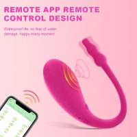 Control Remoto Inalámbrico APP Vibrador para Mujer con Hueco G Masajeador de Clítoris - details 0