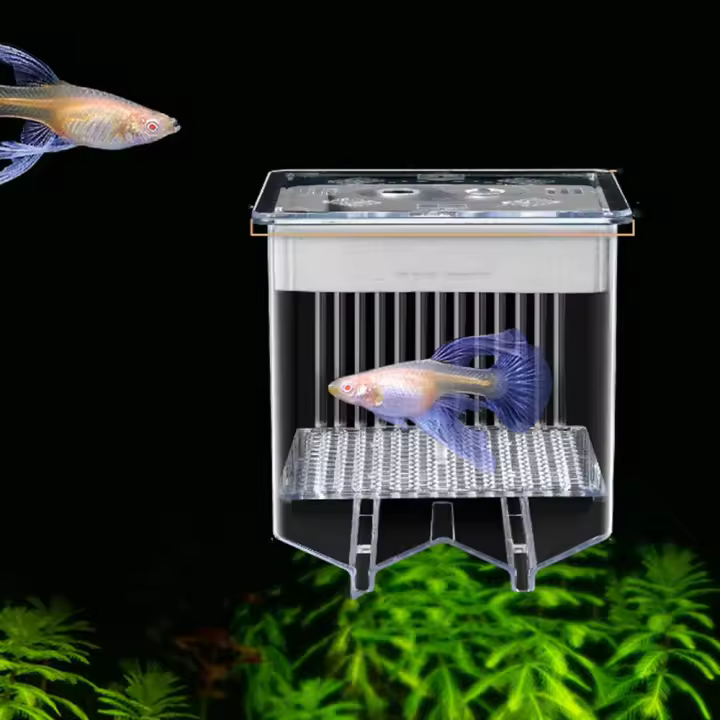 Caja transparente para criador de Guppy, permeable, previene el escape, criadero de vida acuática, divisor de tanque de peces desmontable para peces pequeños - 1
