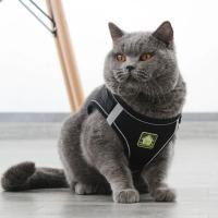 Arnes y correa ajustables y transpirables para mascotas Chaleco a prueba de Escape para gatos - details 29