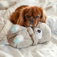 Animales de peluche suaves para mascotas, juguetes calmantes, animales vocales interactivos, música relajante, disipa la ansiedad - details 2