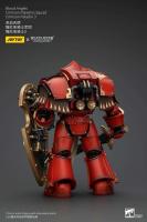 JOYTOY 40k 1/18 Figuras de acción Anime 13,6 cm Blood Angels Crimson Paladins Squad - details 11