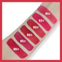 Brillo Labial Mate Duradero Fácil de Colorar, Hidratante, Sin Pegajos, Impermeable - details 2