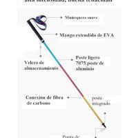 Mostrar detalle