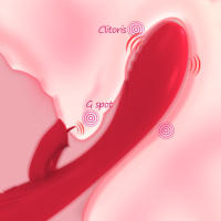 Juguetes sexuales Consoladores Vibradores para mujeres Vibrador WIFI Juguetes sexuales femeninos para mujeres Use consoladores Productos para adultos 18 Vibradores estimuladores de clítoris de doble uso Potente vibrador de conejo Consoladores Juguetes sex - details 2