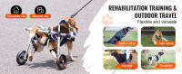 SucceBuy Silla de ruedas para perros de 2 ruedas para patas traseras, carrito ligero y ajustable para mascotas lesionadas, discapacitadas, parálisis, mascotas débiles de las extremidades traseras (S) - details 5