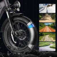 FAFREES FF20 Polar Bicicleta Eléctrica, SHIMANO de 7 velocidades, frenos de disco mecánicos, pantalla LCD en color, motor de 860W, batería de 48V 20.8AH, suspensión delantera, alcance de 96-115km, neumático inflable de 20*4,0 pulgadas, azul - details 7