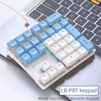 Teclado Mecánico Apaido con 33 Teclas Luces Multicolor Adecuado para Laptop - details 1