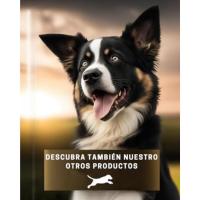 BedDog Zara - Cama para Perro con Funda Extraíble y Lavable, Sofá para Perros Mediano XL - details 5
