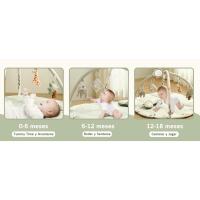0-6 meses Tummy Time y Acostarse 6-12 meses Rodar y Sentarse 12-18 meses Caminar y Jugar