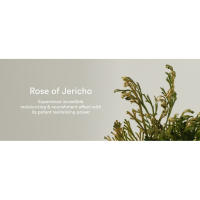 Abib Jericho Rose Bifida Serum Firming Drop, Visibly Smooths Textured Skin, Evens Skin Tone