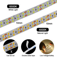 Cinta de Luz LED 24V XUNATA 5m 10m Luces Led Rope SMD2835 240Leds/m 10mm PCB Ancho Flexible Diodo para Decoración de Habitación Iluminación Moderna - details 2