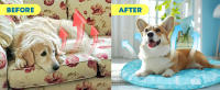 Nobleza - Alfombra Refrescante para Perros, Cama Perro Fria, Manta Refrescante para Mascotas Pequeños y Medianos, Gatos en Verano, Auto Refrigerante, No tóxico, Orbicular - details 1