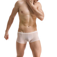 Ropa interior sexy para hombre Mini bóxer de seda de hielo Bragas ultrafinas transparentes Transparente Calzoncillos Homme Cuecas - details 5