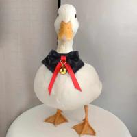 Corbata hecha a mano para mascota, pollo, pato, ganso, loro, venta de corbata con cuello de pájaro, 1 ud. - details 0
