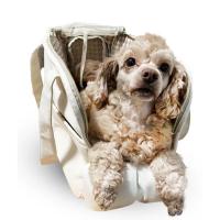 Correa de arnés transpirable para perros y gatos Correa de paseo anti-pérdida para cachorros pequeños y medios Accesorios de mascotas - details 11