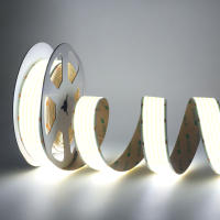 GAHADA Tira LED flexible dimable de alta densidad Ultra brillante 12V 24V con 1600LEDs/m - details 7