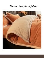 Juego de Ropa de Cama con Forro de Cama Lujo Invierno Cálido Grosor Individual Doble Par Tapete Funda de Edredón Juego de Fundas de Almohada - details 5