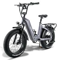 FAFREES F20 Master Bicicleta Eléctrica, Marco de Fibra de Carbono, Motor de 500W, Batería de 48V 22.5Ah, Neumáticos de 20*4,0 Pulgadas de Espesor, Frenos hidráulicos dobles, SHIMANO de 7 Velocidades, Pantalla LCD en color, Gris - details 0