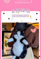 Muñeca muñeca de tela de felpa juguete cumpleañera explosión de la misma mochila de gato ragdoll simulada bolsa de gato gordito - details 21