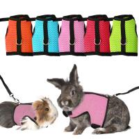 Correa de Malla Suave para Mascotas Pequeñas Conjunto de Correa y Correas para Conejos, Hamsteres, Cobayas Suministros para Mascotas - details 2