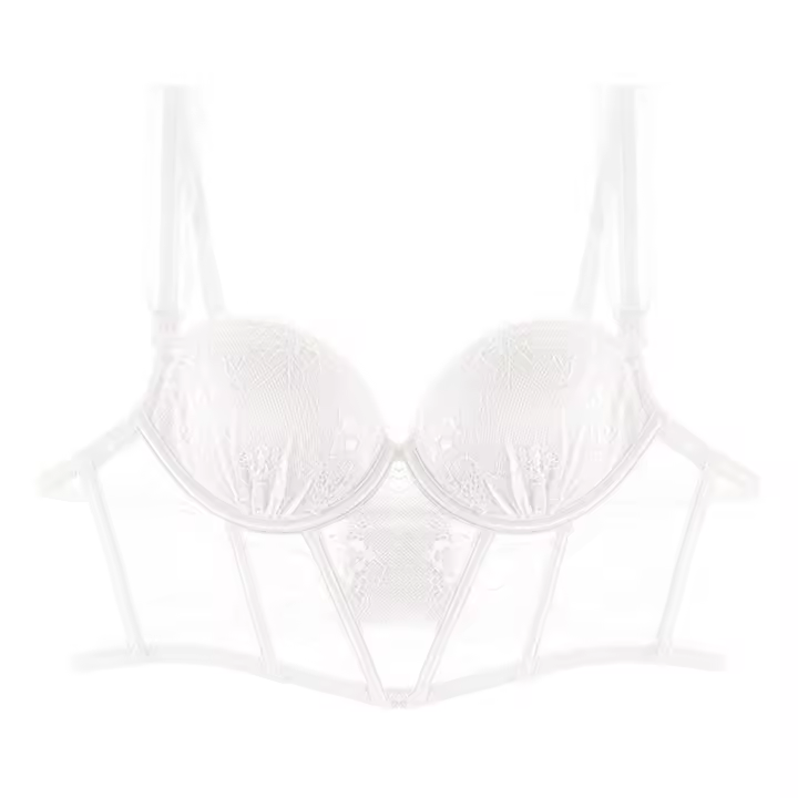 Corsé de encaje suave y dulce, Top ajustado a prueba de golpes, chaleco de espina de pescado, sujetadores, chaleco de malla transparente, ropa interior para fiesta - 1