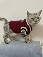 Disfraz sólido de gato para mascotas, suéter de Navidad para perros pequeños, chaleco para cachorros, chaqueta para gatitos - details 6