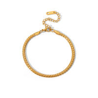 Encanto Collar de cadena de hueso de acero inoxidable 316L para mujeres y hombres, gargantilla de cadena de serpiente de Color dorado de Metal de Hip Hop, joyería, regalos de aniversario - details 4