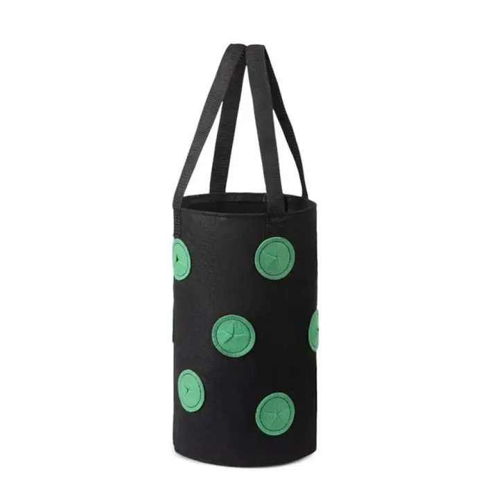 Colgante de fieltro multifuncional de 12 agujeros, tomate, fresa, éter, verduras, flores, bolsa de cultivo de plantas, jardín ETA - 1